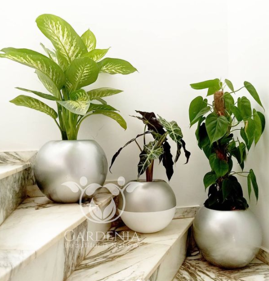 Une jolie composition avec 3 pots et plantes