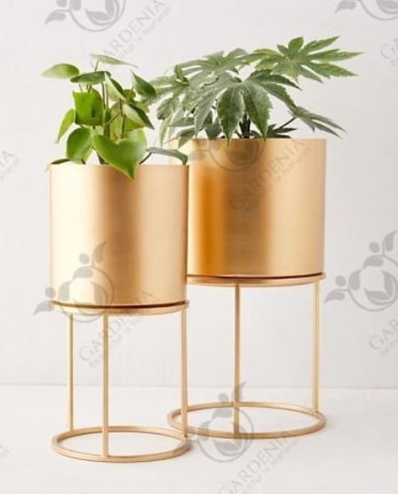 Pots doré cylindre sur support avec plantes d'intérieur