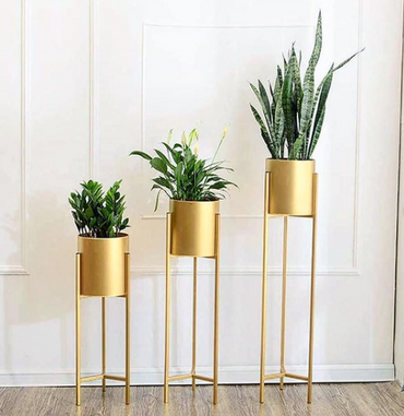 Trio élégant 3 plantes en pots dorés avec supports