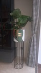 Pot cylindrique peinture abstraite géométrique sur support noir avec calathea orbifolia -Handmande
