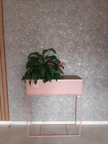Pot style scandinave avec composition de plantes pour intérieur,  avec sa tablette