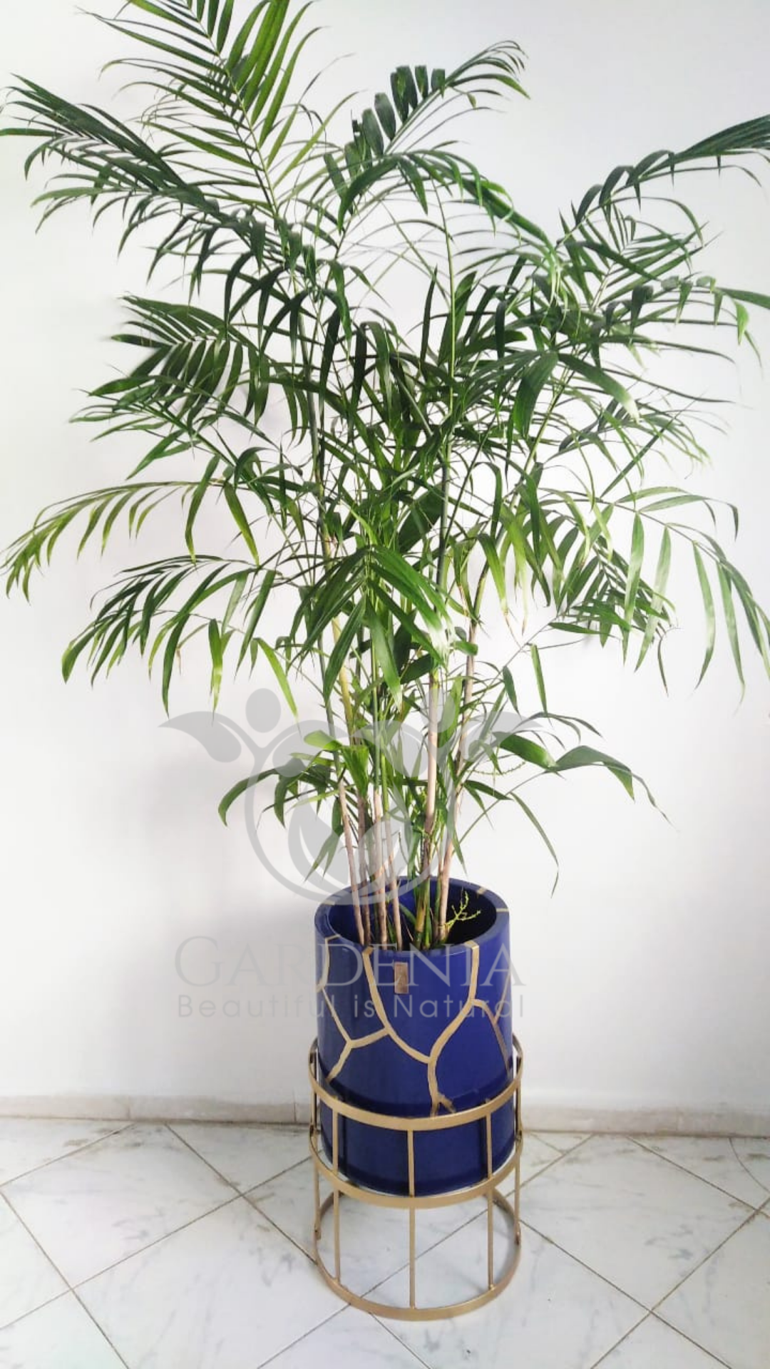 Chamedorea en pot bleu sur support avec motif Kintsugui -Handmande